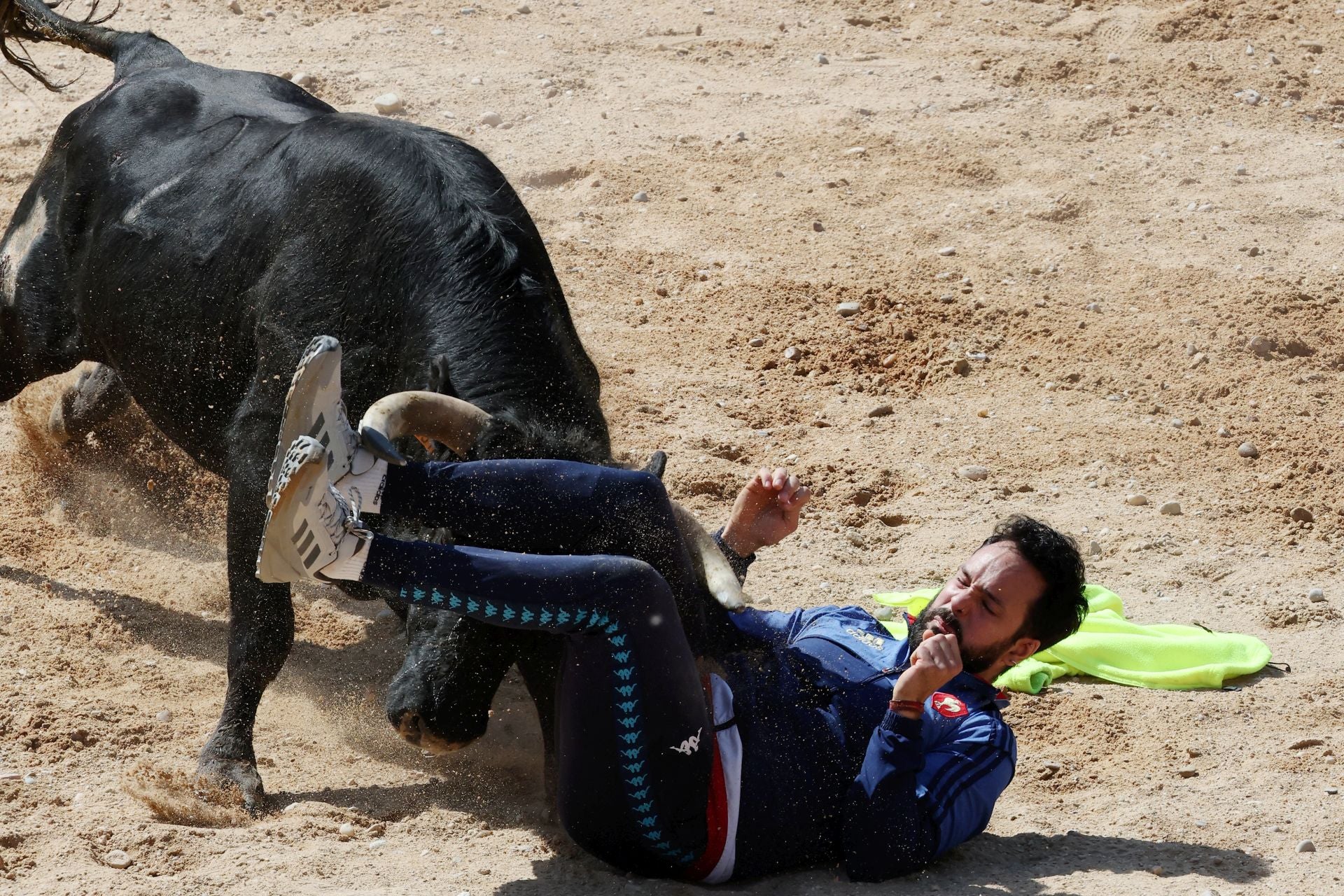 Las imágenes del encierro y capea de este domingo en Peñafiel
