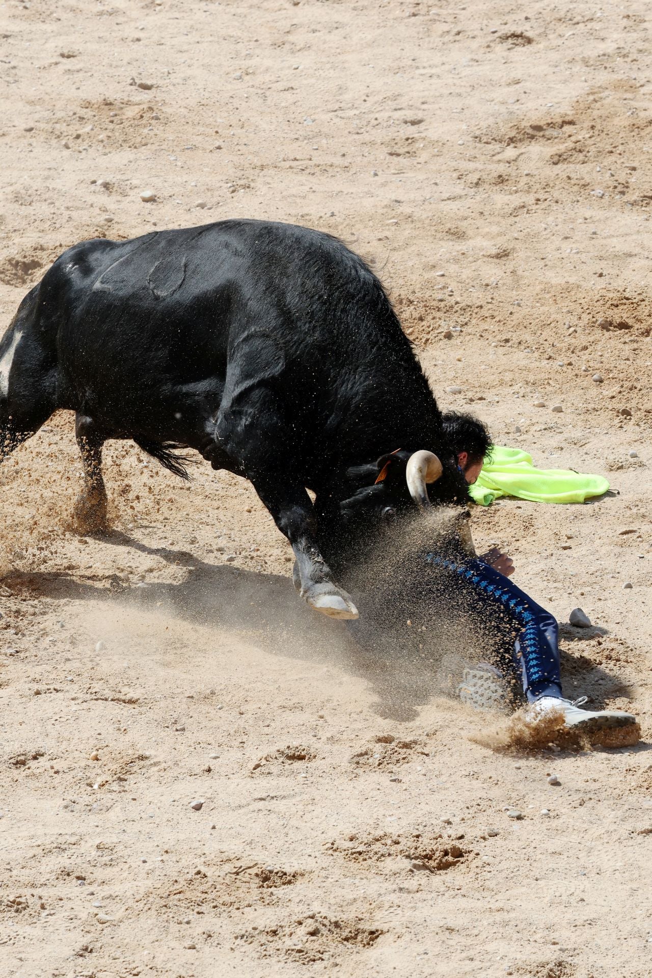 Las imágenes del encierro y capea de este domingo en Peñafiel