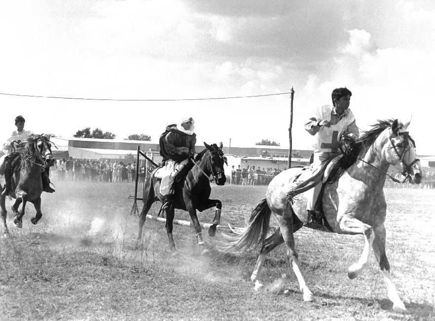 Carrera de caballos. 23 de junio de 1994.