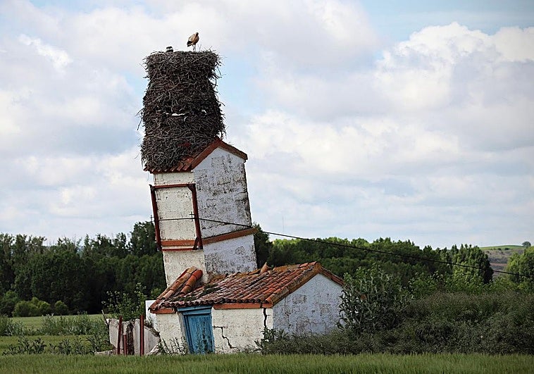 Estructura con la torre inclinada y los tres nidos con una cigüeña y varios cigoñinos.