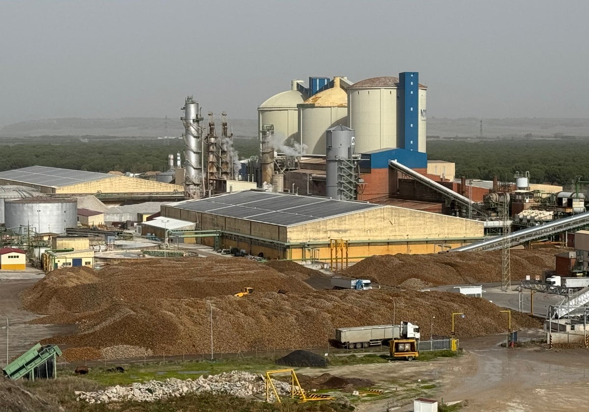 El cultivo de remolacha en Acor roza las 10.000 hectáreas