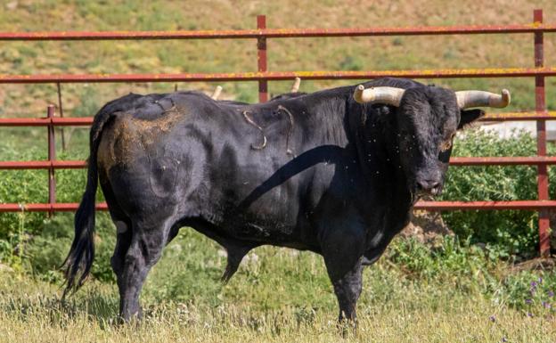 Barbecho, de El Torero.