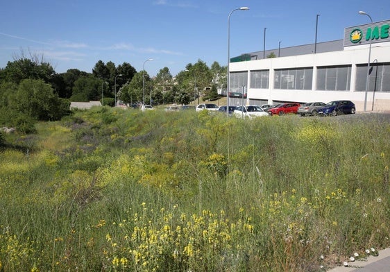 Parcela en la que Somacyl espera construir la promoción de vivienda pública.