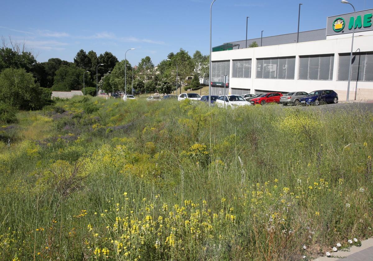 Parcela en la que Somacyl espera construir la promoción de vivienda pública.