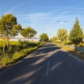 Camino del Tamarizo de Aldeamayor de San Martín.
