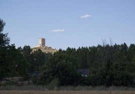 Un paraje de Langa de Duero.