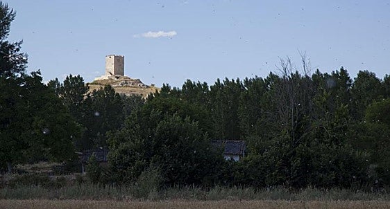 Localizado en el río el cuerpo sin vida del desaparecido en Langa de Duero