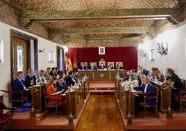 Pleno de la Diputación de Valladolid celebrado este viernes en el Palacio de Pimentel.