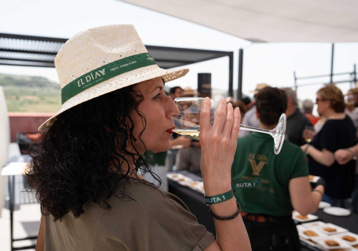 El DíaV reúne a más de 700 personas alrededor del vino en Valladolid