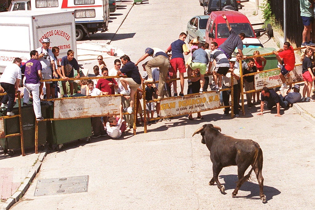 Encierro en Viana de Cega. 15 de agosto de 2000.