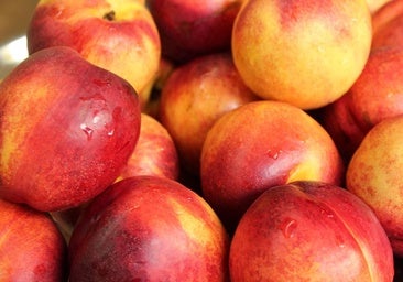 Nectarina, un primo del melocotón