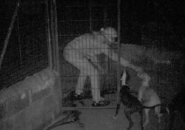 Captura del vídeo que muestra el robo de las tres galgas de la protectora de Segovia.