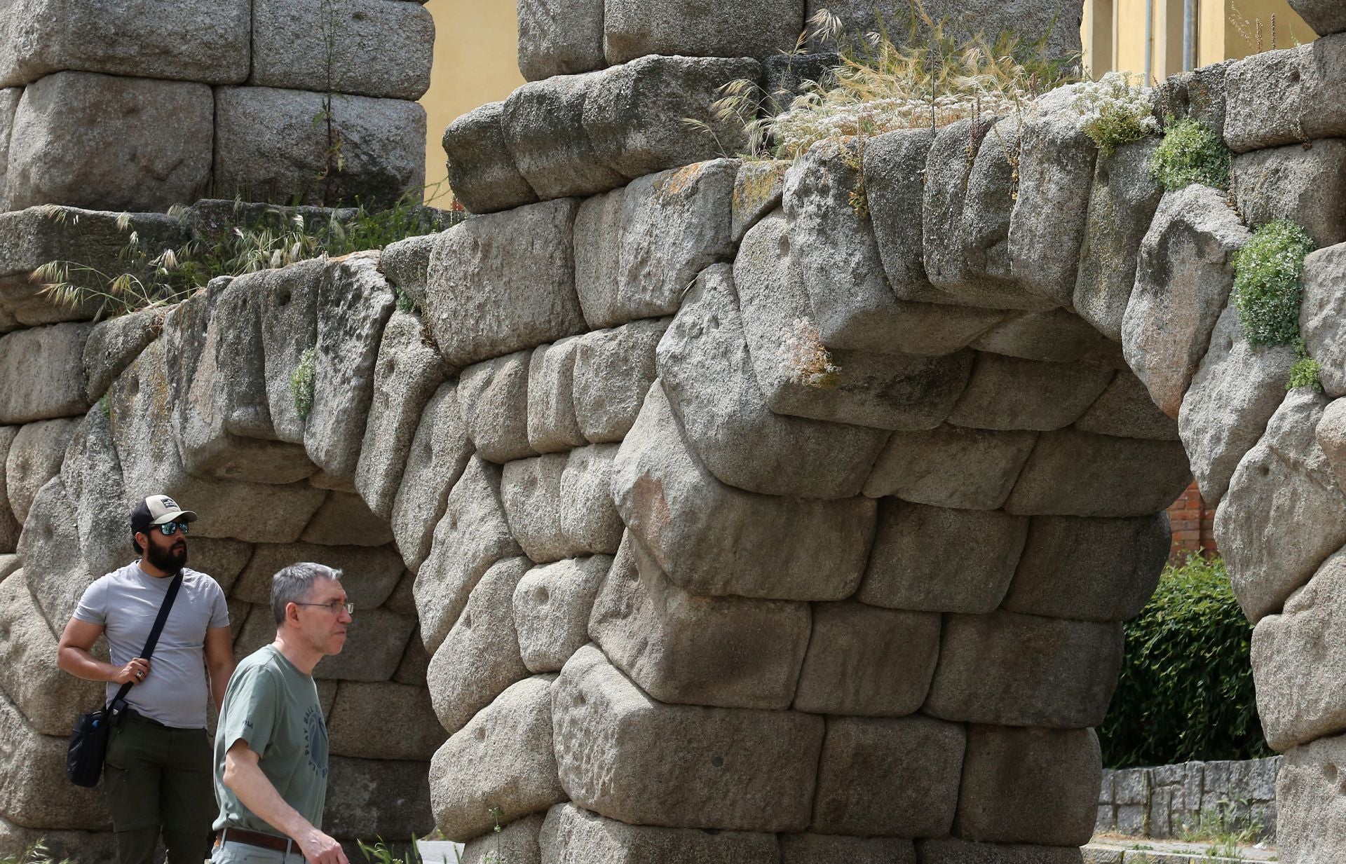 Fotos de la vegetación que crece en el Acueducto de Segovia