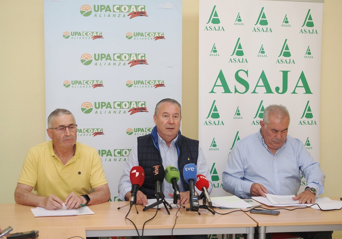 De izquierda a derecha, Lorenzo Rivera (Coag), Donacionado Dujo (Asaja) y Aurelio González (UPA).