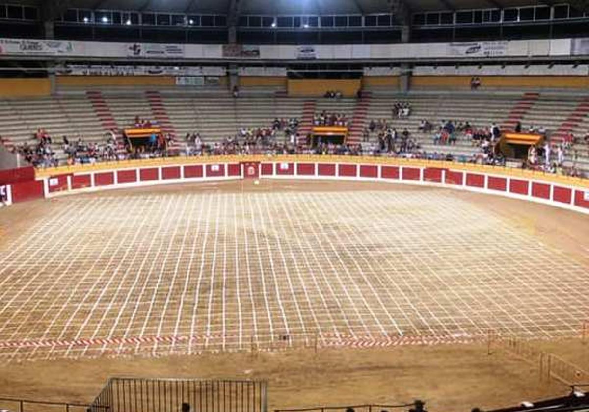 El ruedo de la plaza de toros de Íscar, dividido en cuadrículas el año pasado para el juego.