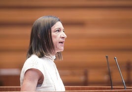 Laura Pelegrina, procuradora socialista, en el último Pleno, en el que defendió la postura del PSOE frente al recorte de frecuencias de alta velocidad.