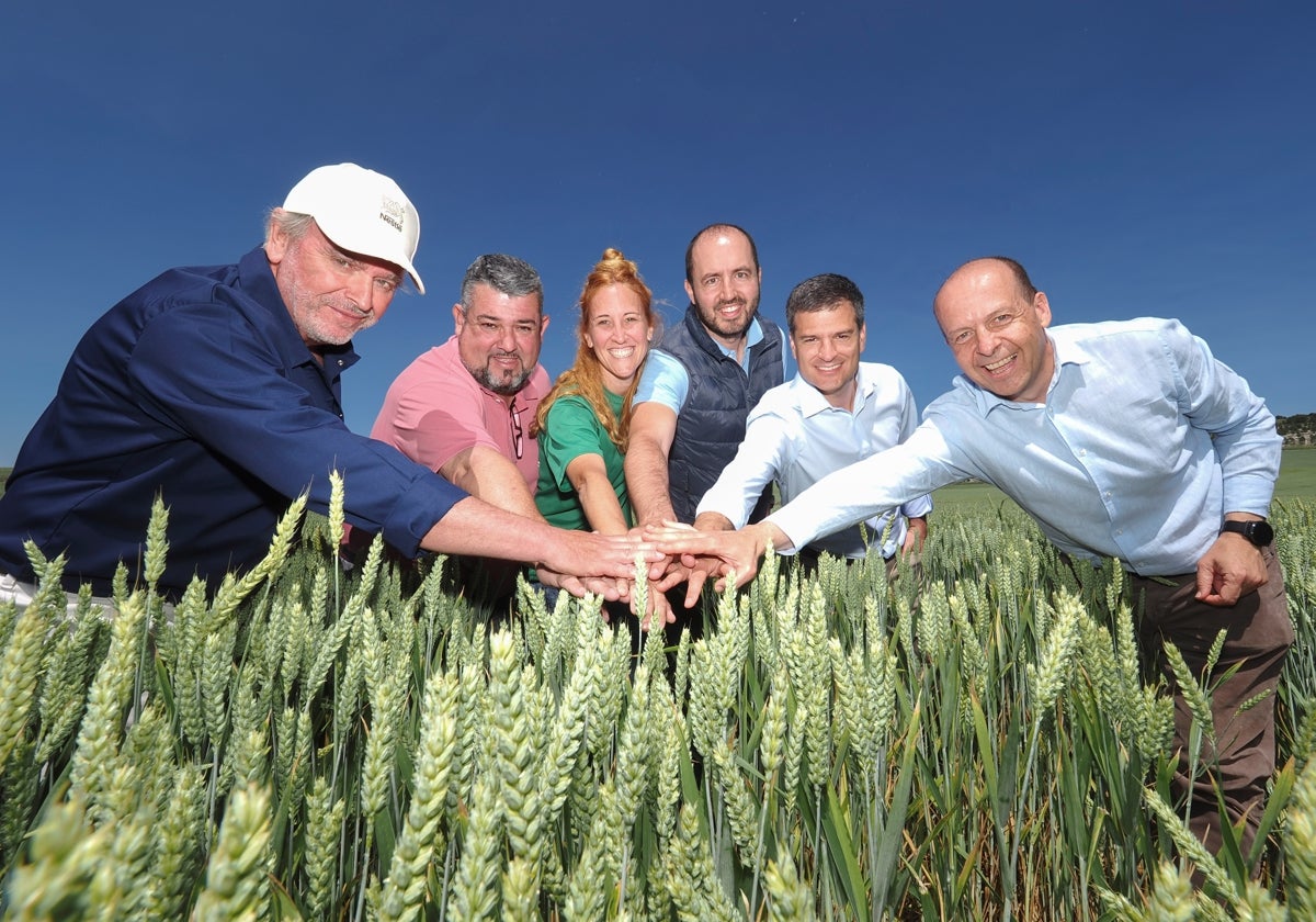 Los cereales para papillas Nestlé de agricultura regenerativa.