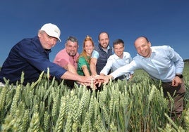 Los cereales para papillas Nestlé de agricultura regenerativa.