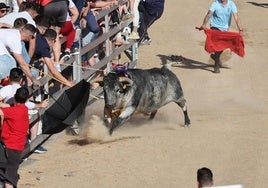 Las imágenes de la fiesta taurina en Medina del Campo