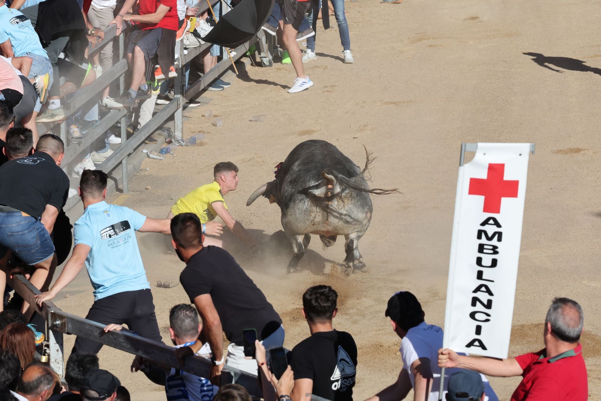 Las imágenes de la fiesta taurina en Medina del Campo