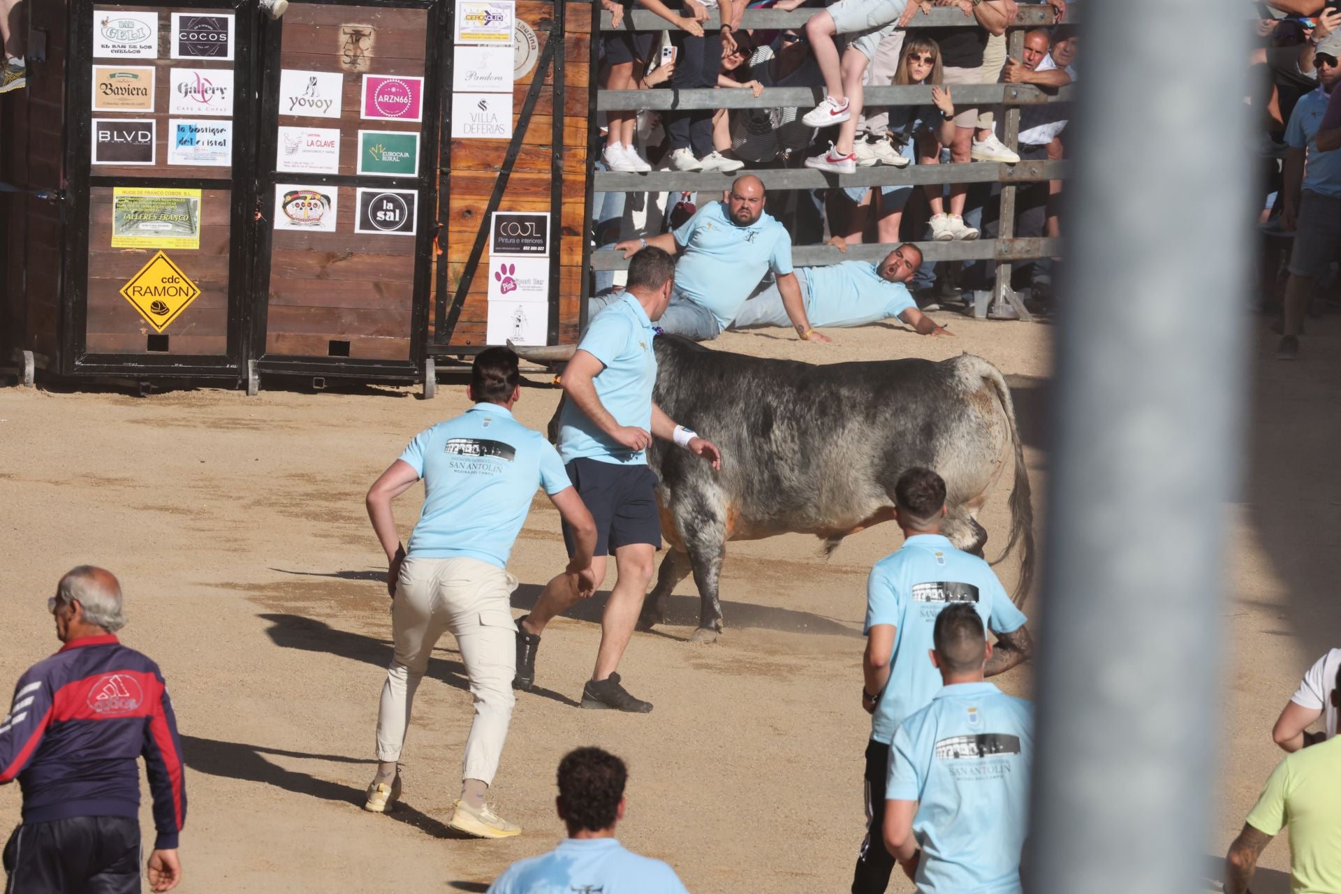 Las imágenes de la fiesta taurina en Medina del Campo
