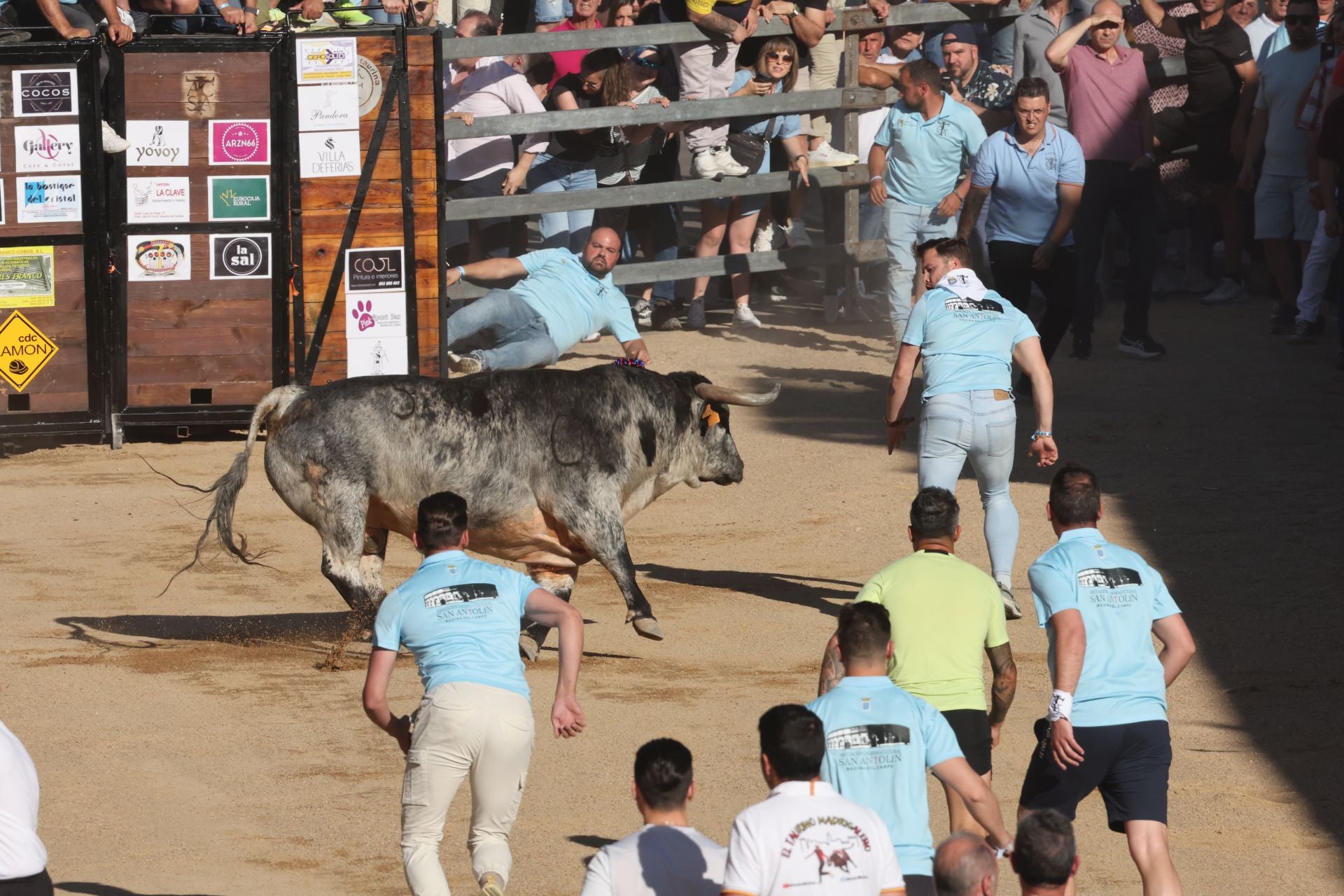 Las imágenes de la fiesta taurina en Medina del Campo