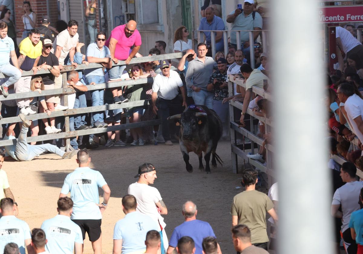 Las imágenes de la fiesta taurina en Medina del Campo