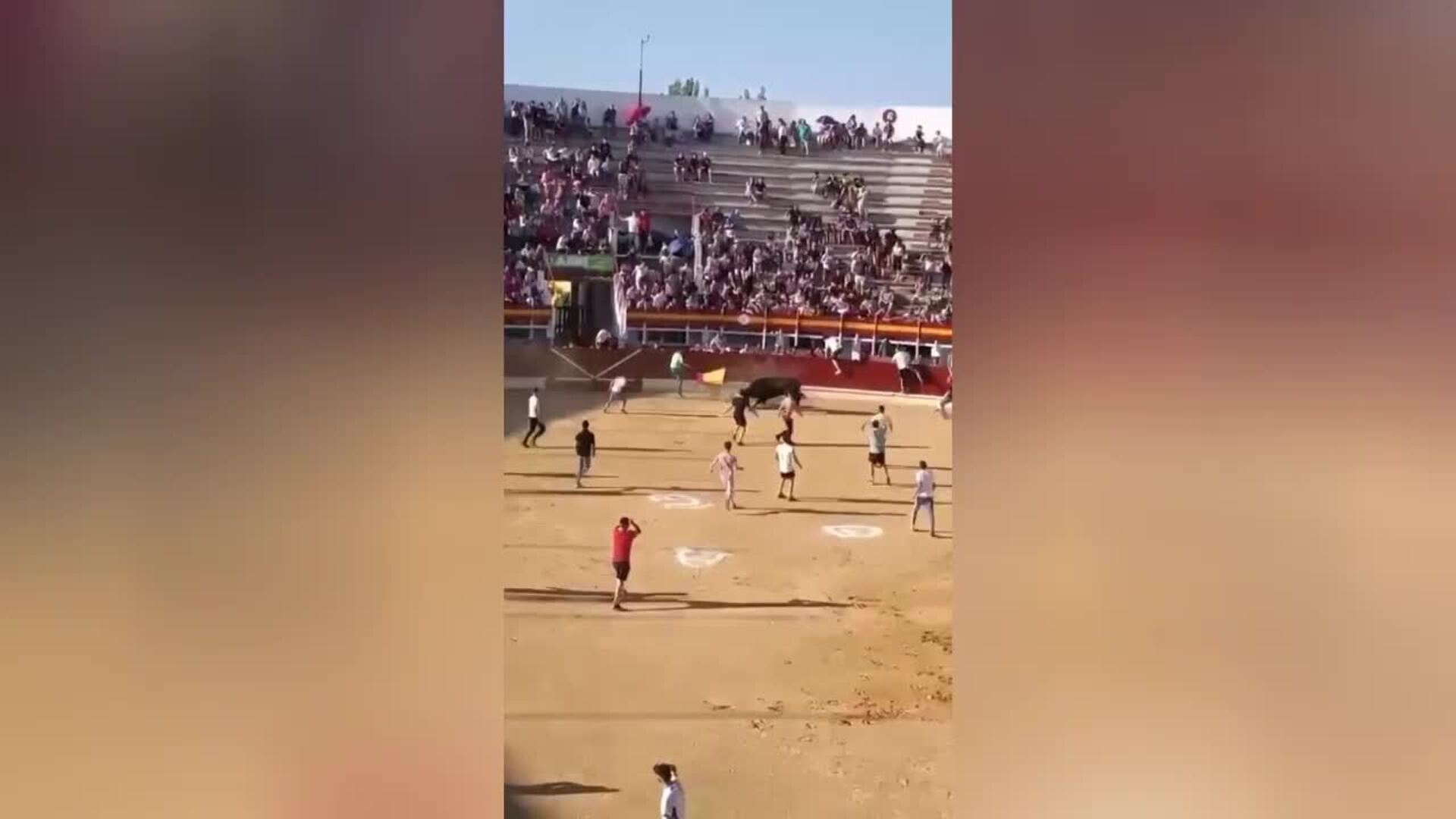 Un joven recibe una cornada de 20 centímetros en la plaza de toros de Medina del Campo