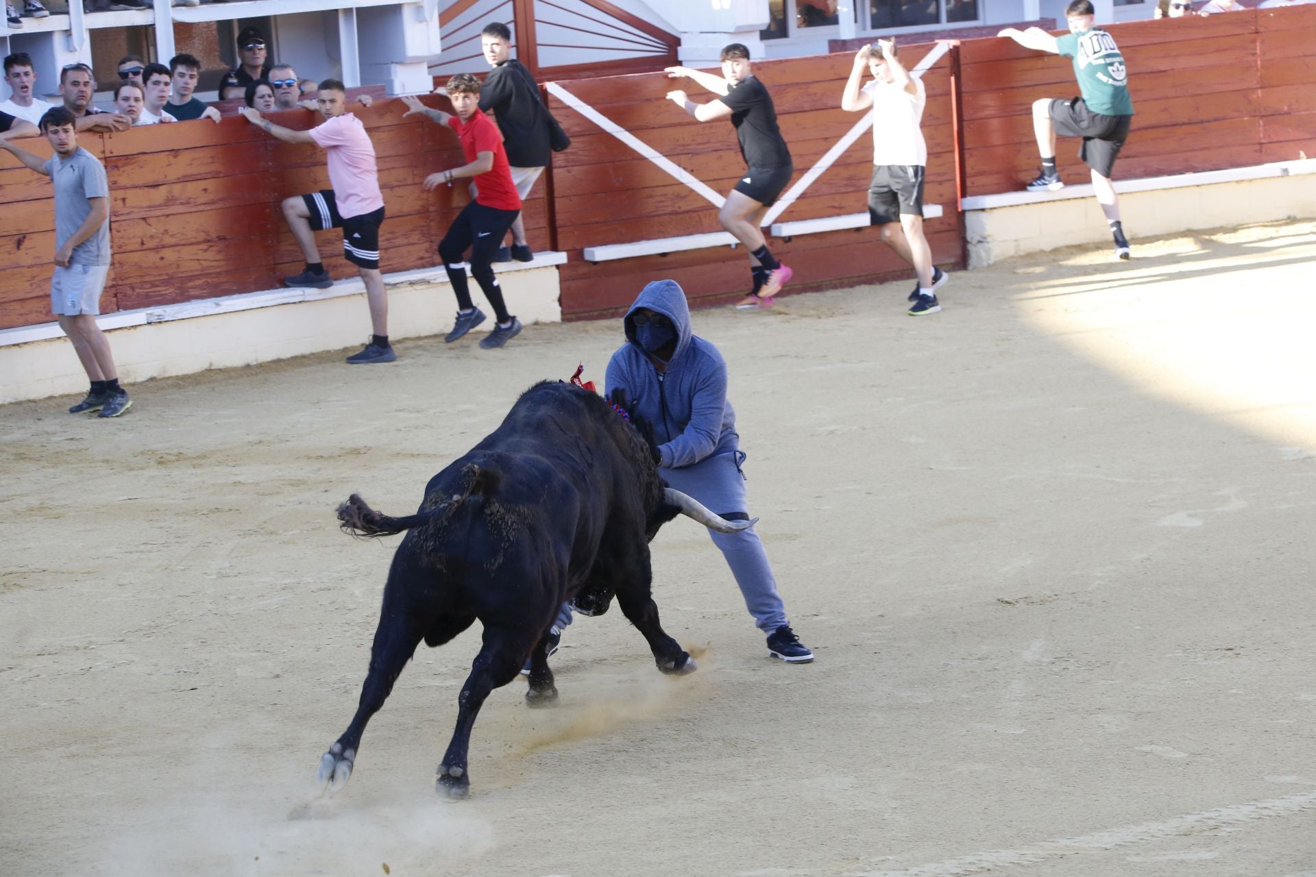 Las imágenes de la cogida en la 15ª edición del Toro de la Feria en Medina del Campo