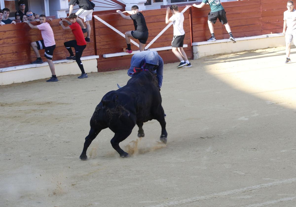 Las imágenes de la cogida en la 15ª edición del Toro de la Feria en Medina del Campo