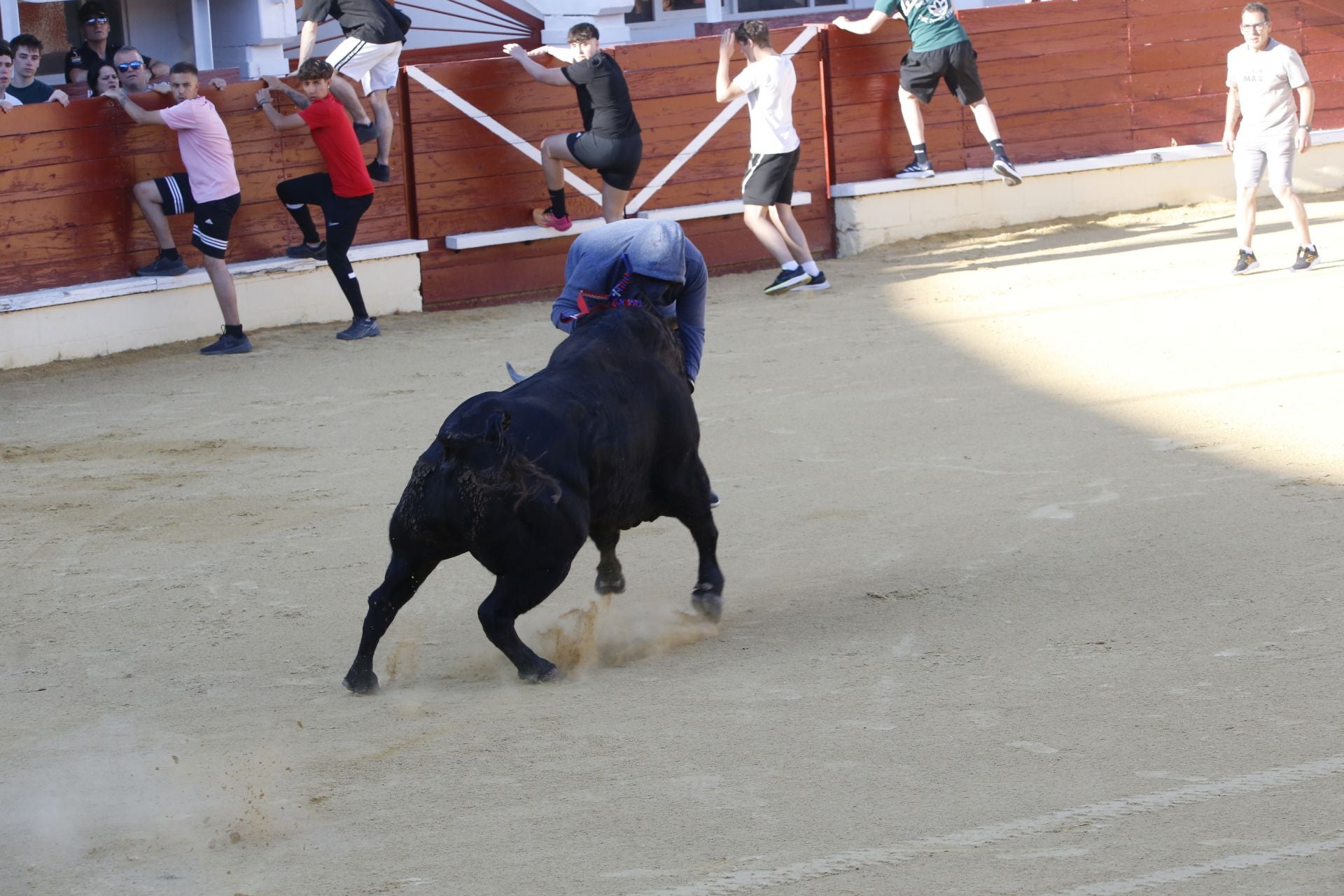 Las imágenes de la cogida en la 15ª edición del Toro de la Feria en Medina del Campo