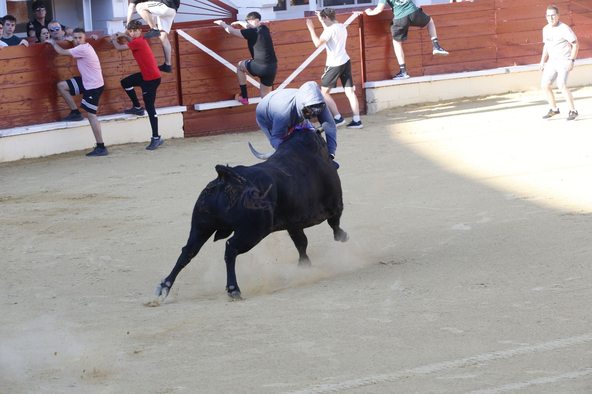 Las imágenes de la cogida en la 15ª edición del Toro de la Feria en Medina del Campo