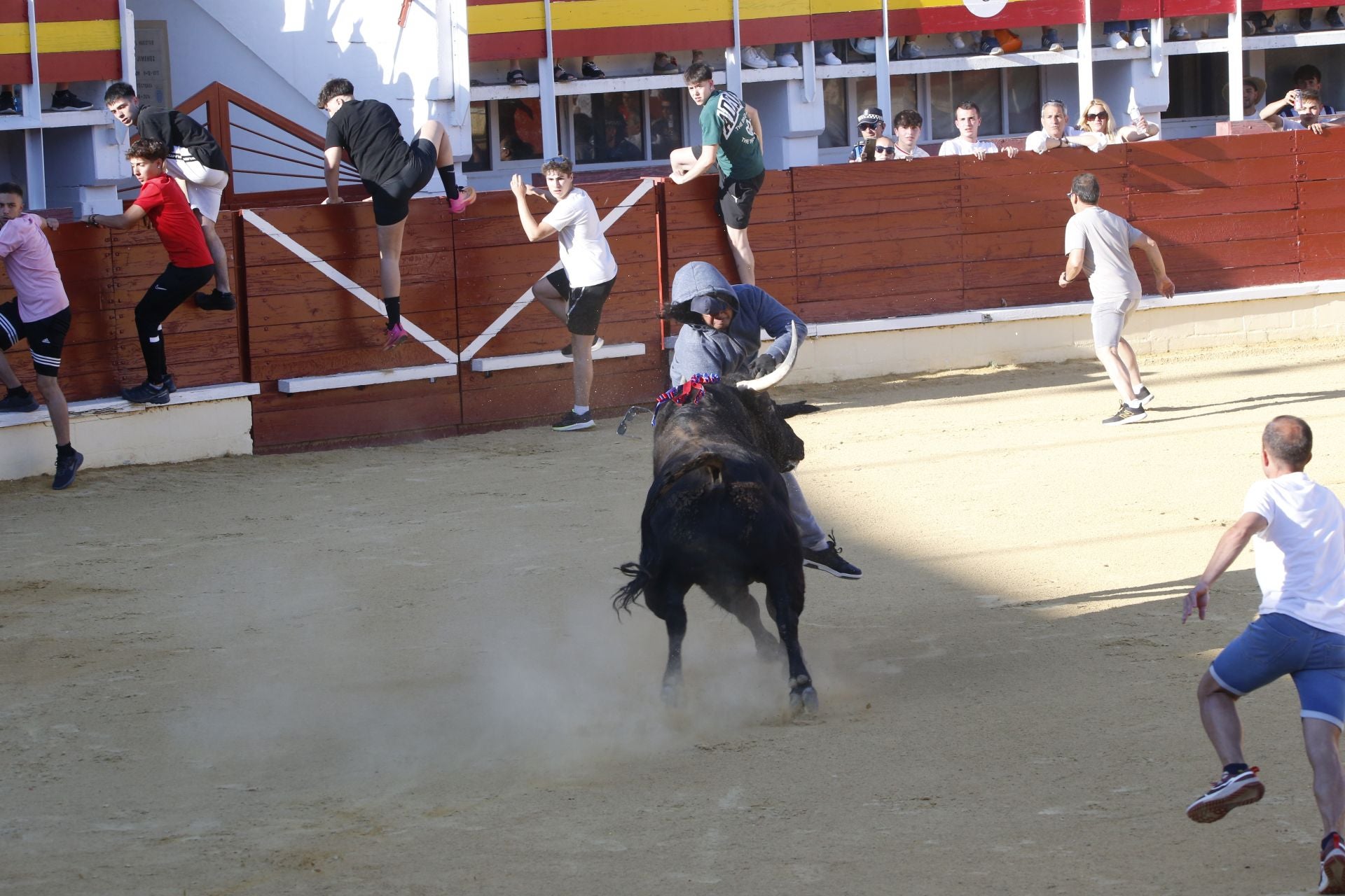 Las imágenes de la cogida en la 15ª edición del Toro de la Feria en Medina del Campo
