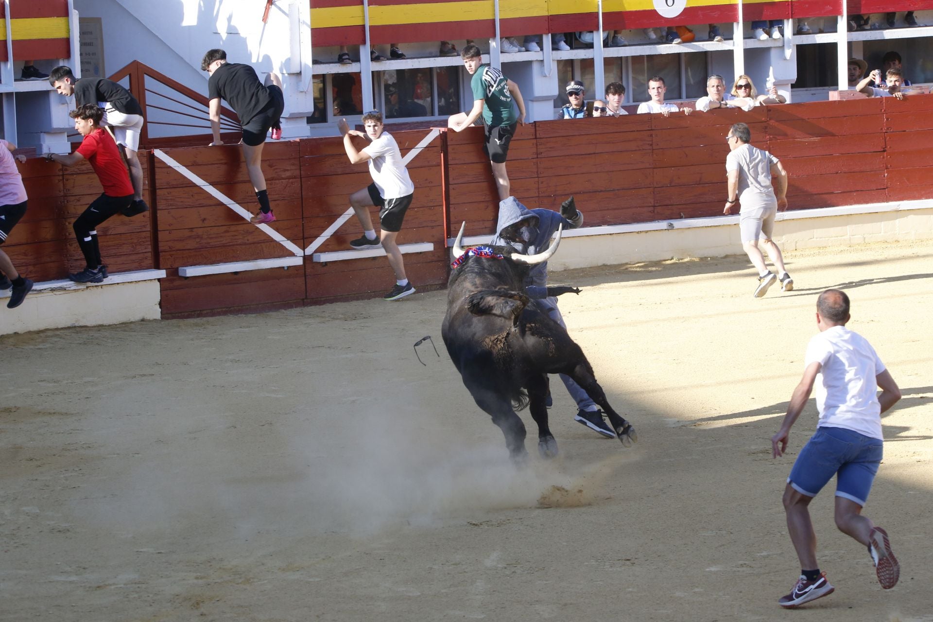 Las imágenes de la cogida en la 15ª edición del Toro de la Feria en Medina del Campo