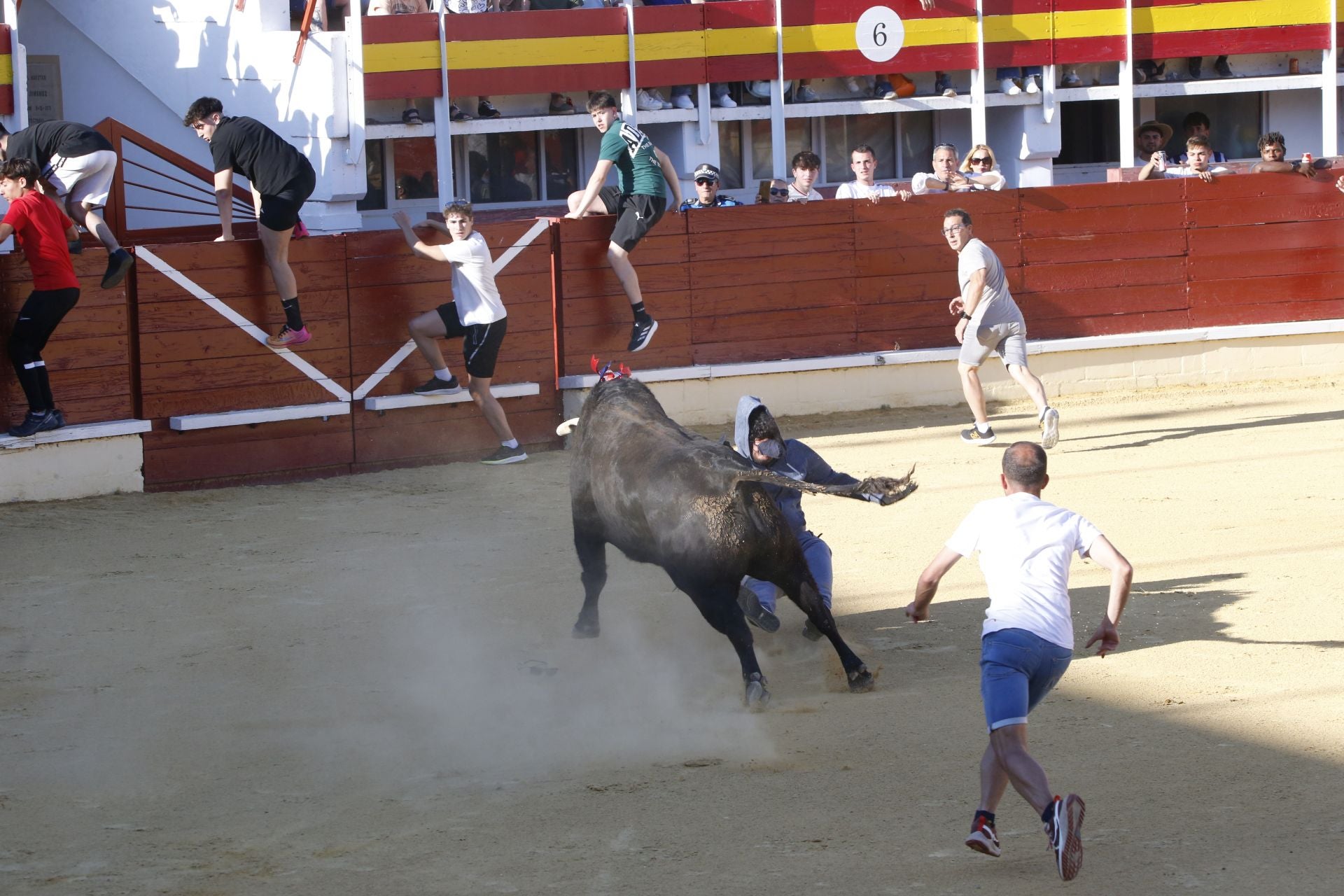 Las imágenes de la cogida en la 15ª edición del Toro de la Feria en Medina del Campo