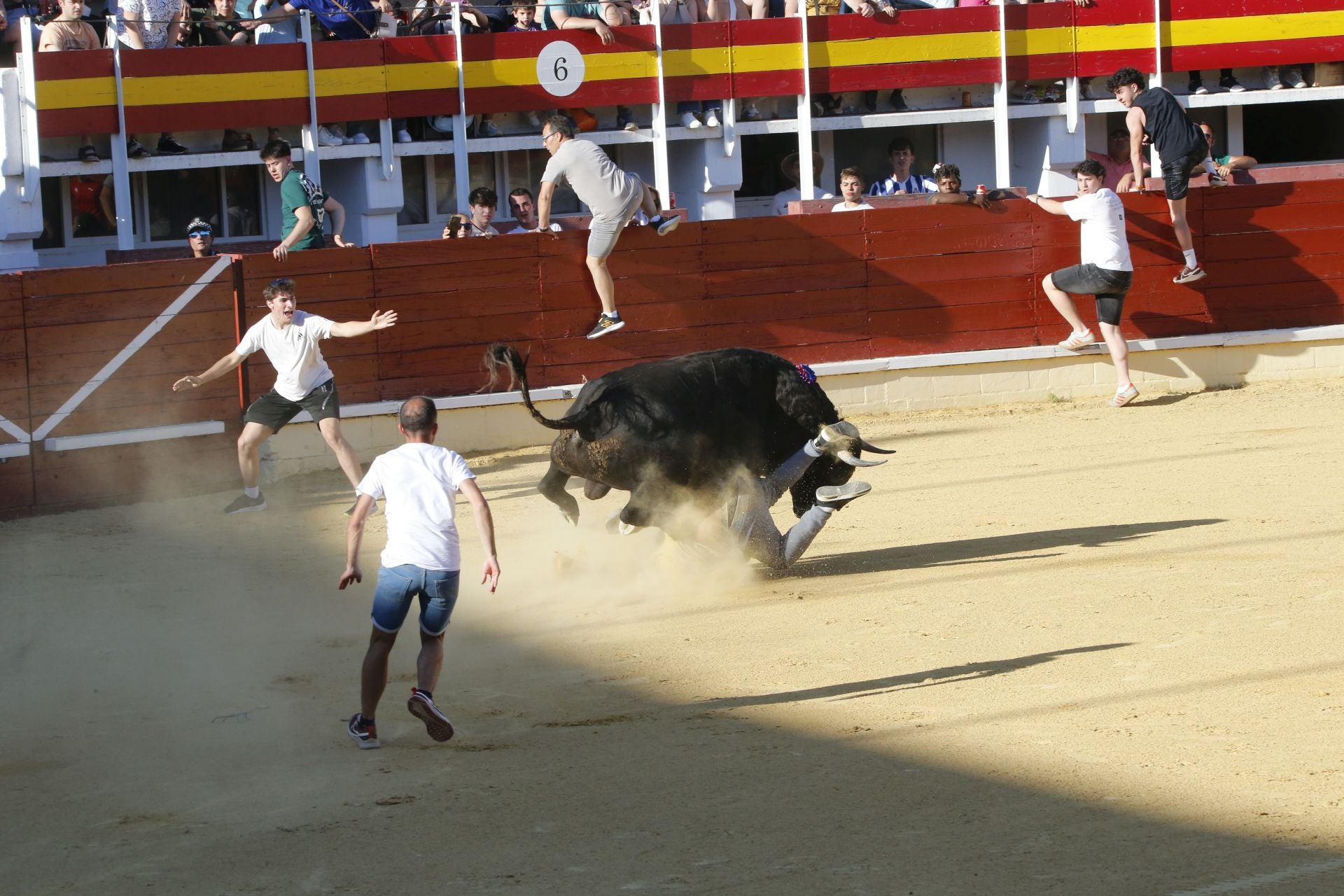 Las imágenes de la cogida en la 15ª edición del Toro de la Feria en Medina del Campo