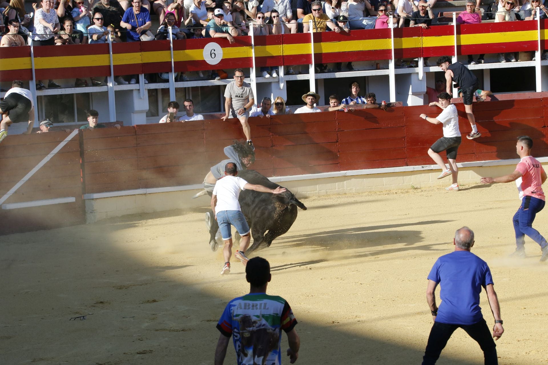Las imágenes de la cogida en la 15ª edición del Toro de la Feria en Medina del Campo