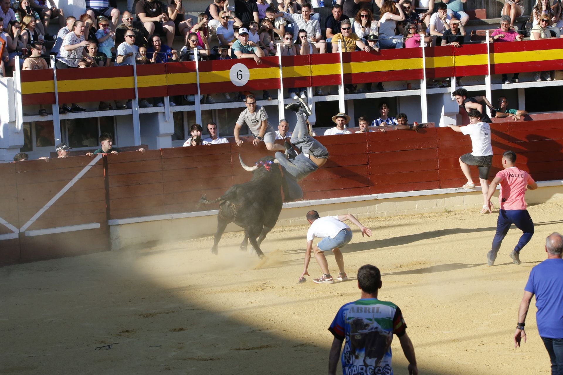 Las imágenes de la cogida en la 15ª edición del Toro de la Feria en Medina del Campo