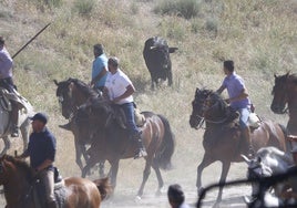 Encierro campero de La Parrilla, esta mañana.