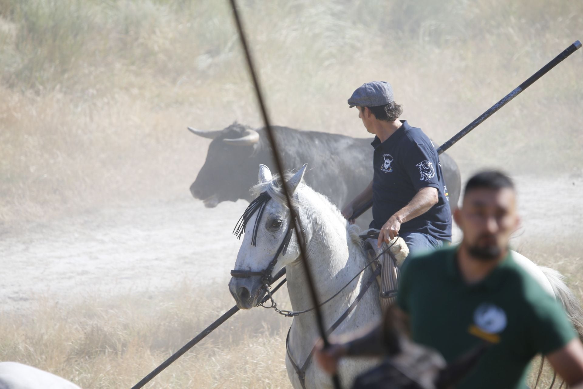 El encierro de La Parrilla, en imágenes