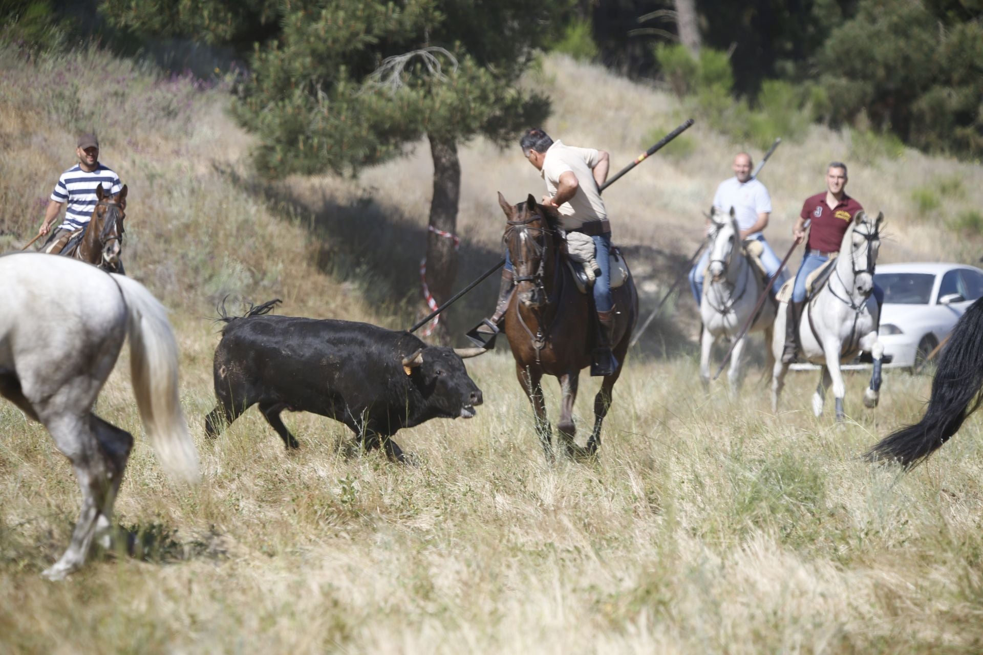 El encierro de La Parrilla, en imágenes