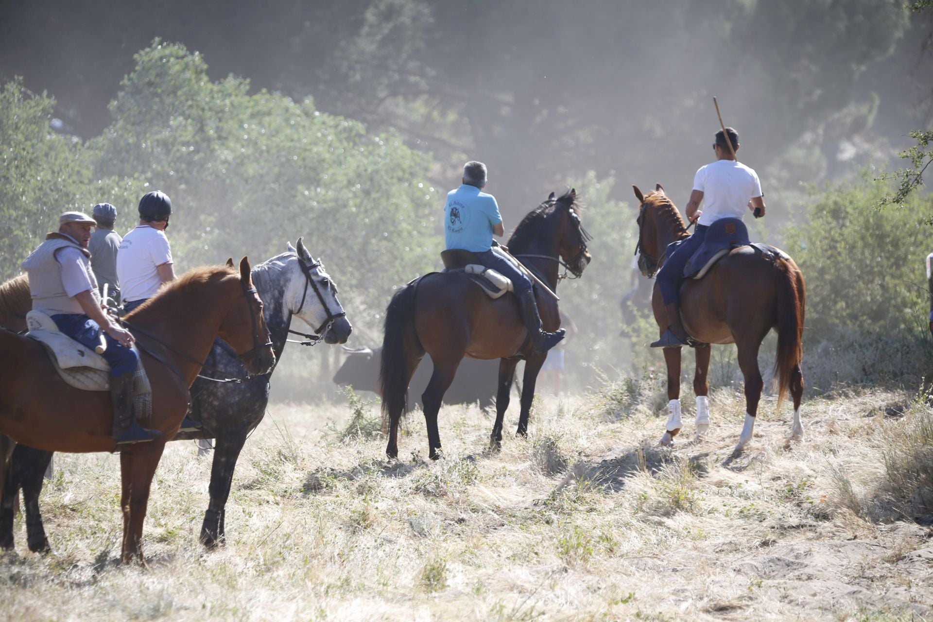 El encierro de La Parrilla, en imágenes