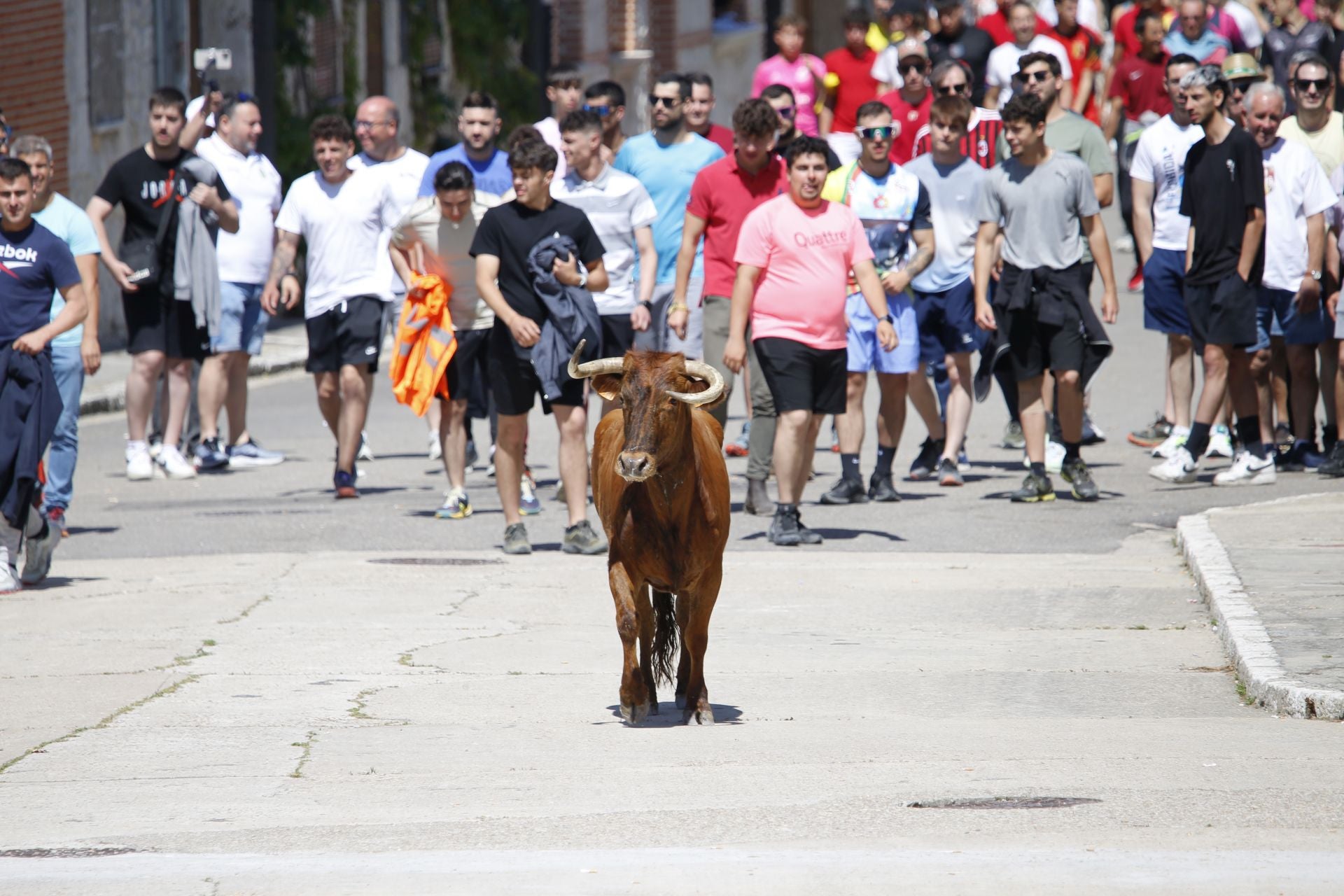 El encierro de La Parrilla, en imágenes