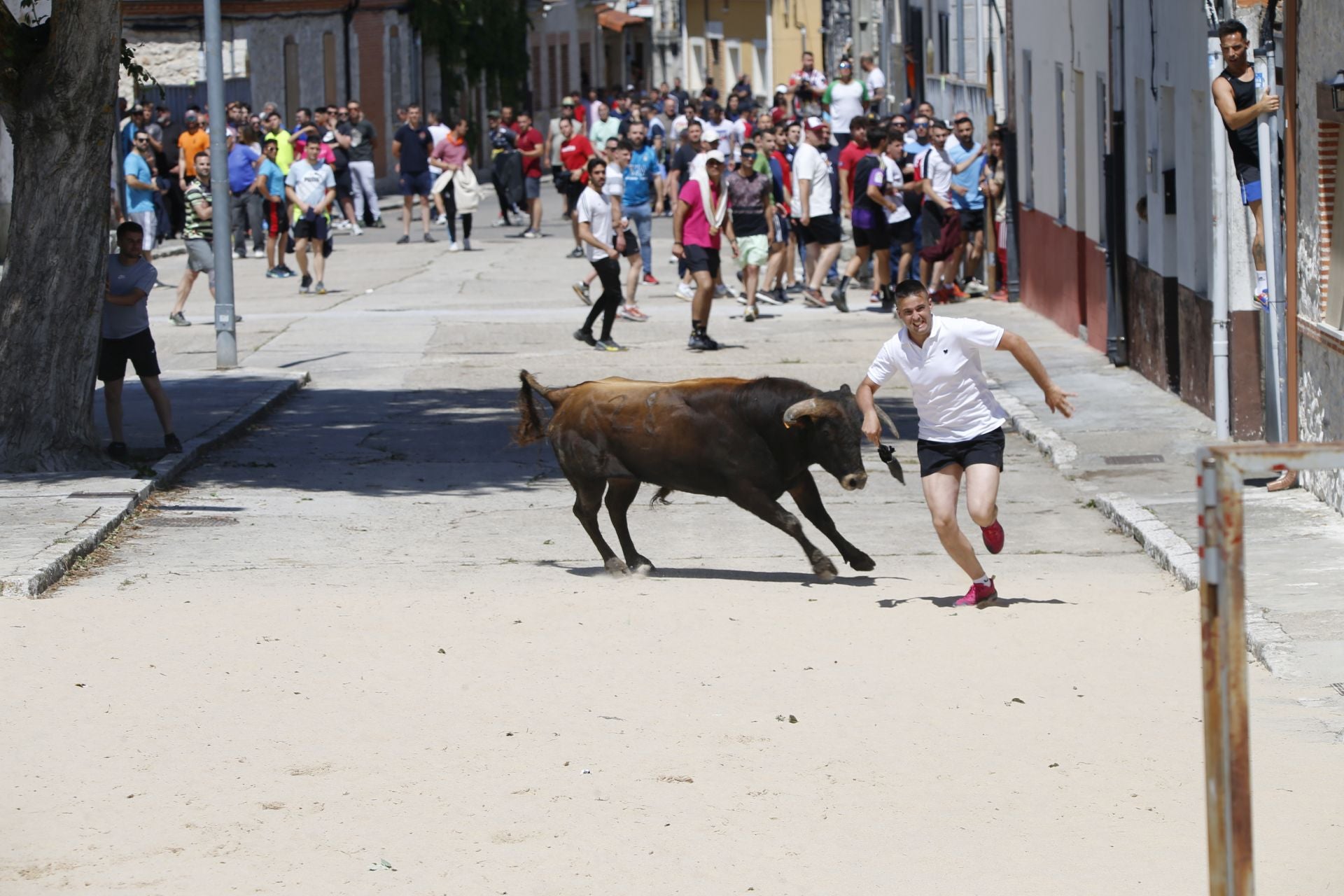 El encierro de La Parrilla, en imágenes