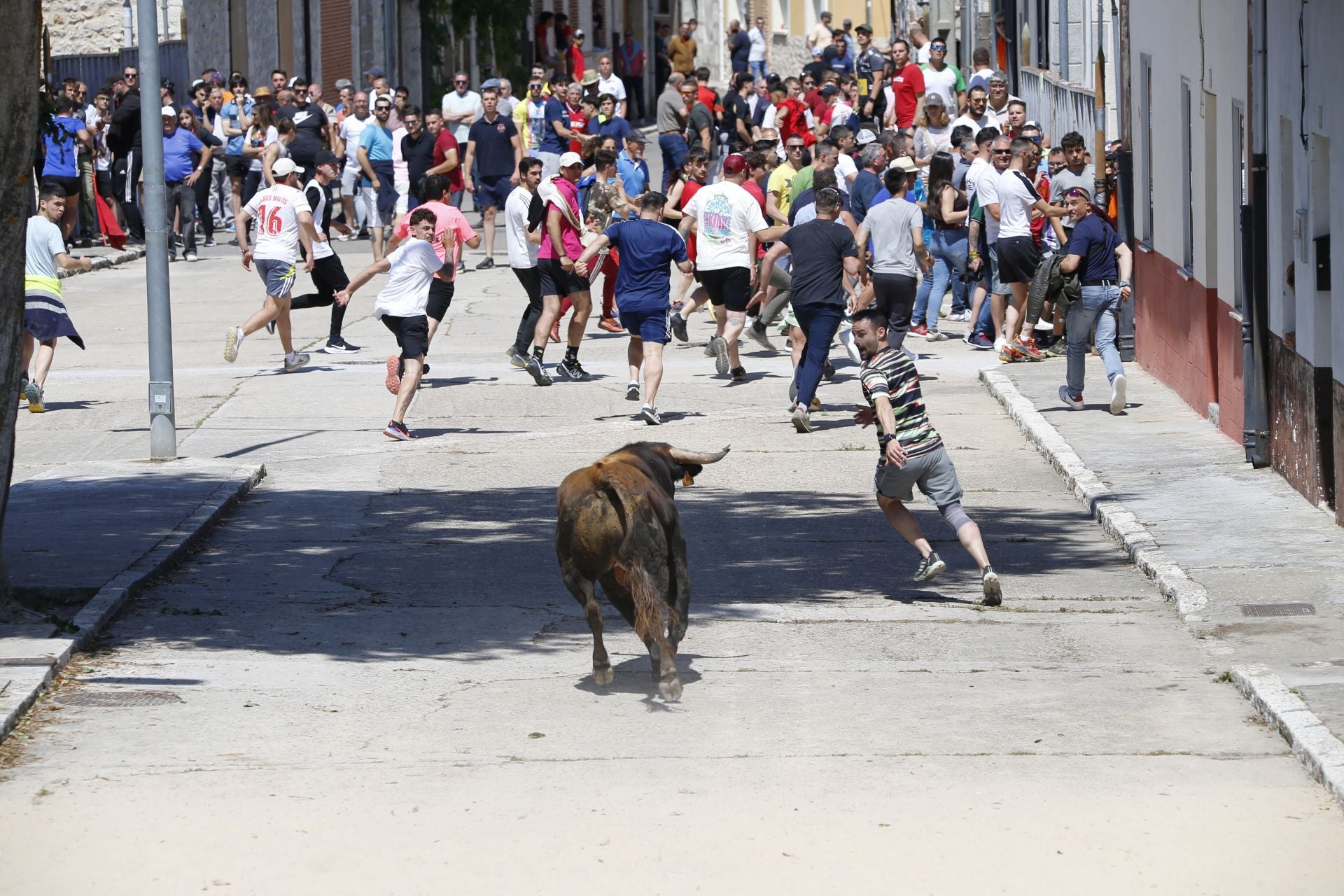 El encierro de La Parrilla, en imágenes