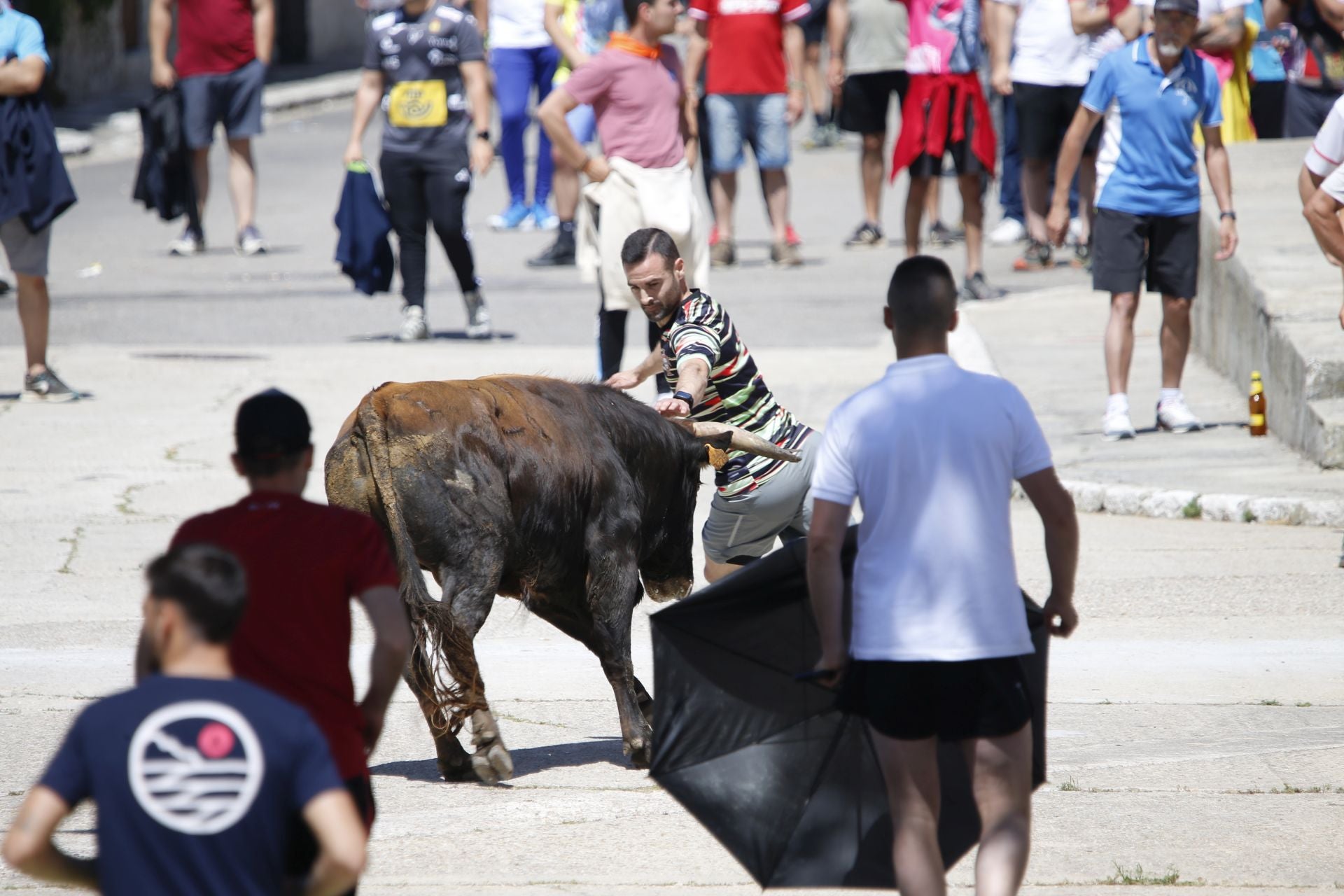 El encierro de La Parrilla, en imágenes