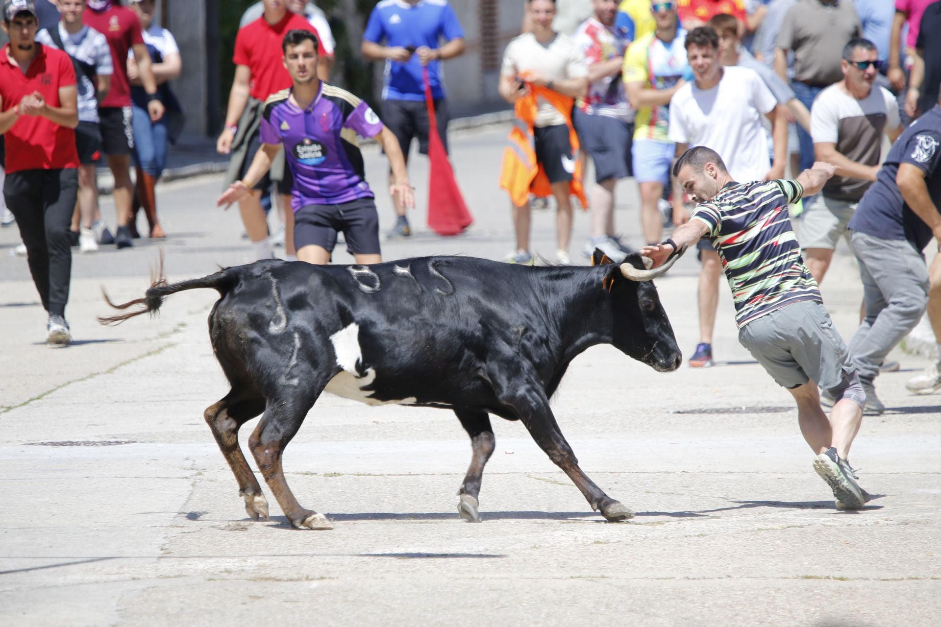 El encierro de La Parrilla, en imágenes