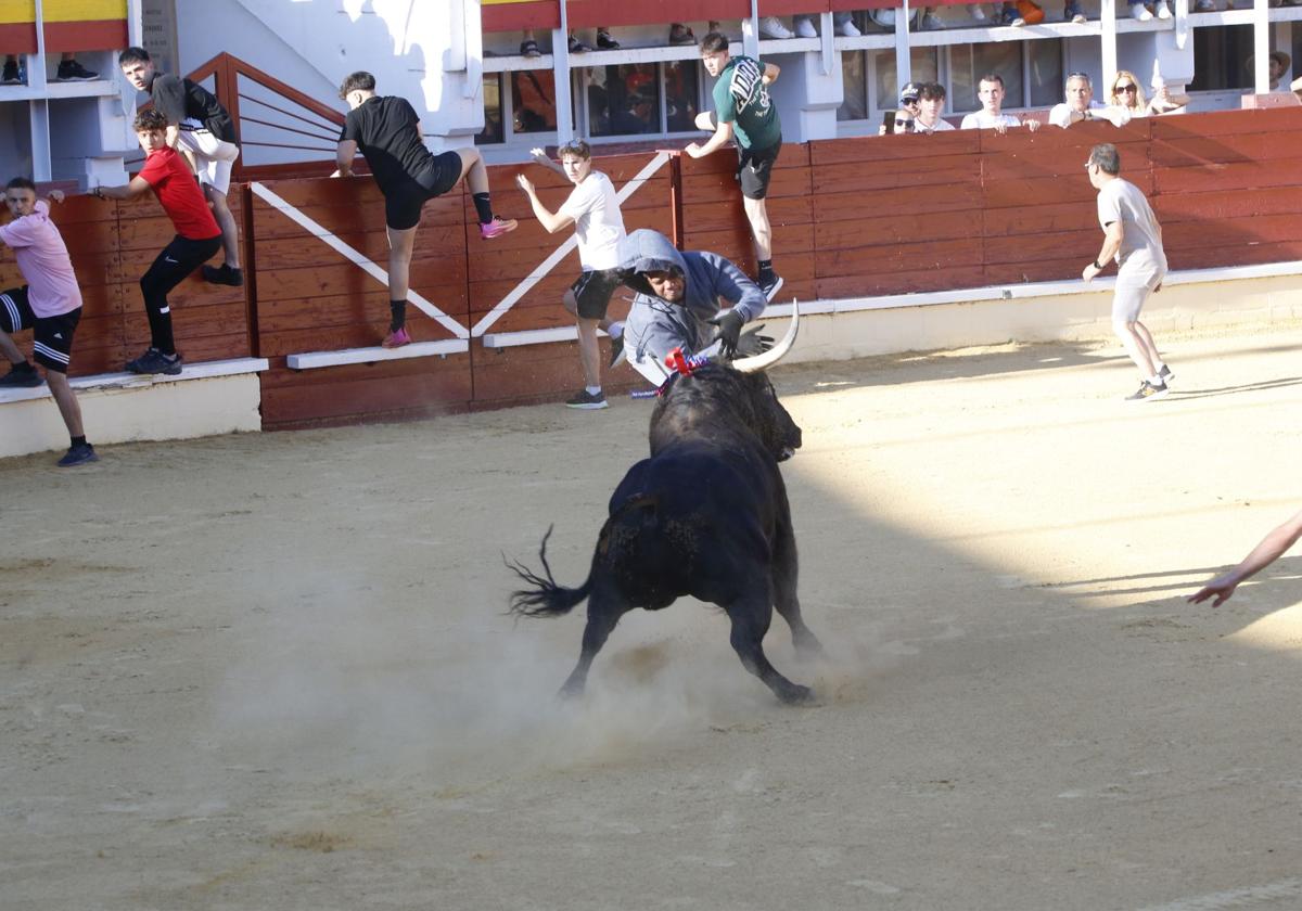 Un herido grave y dos leves en el festejo taurino de Medina del Campo