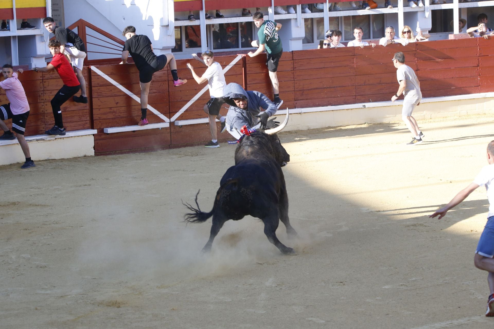 Un herido grave y dos leves en el festejo taurino de Medina del Campo