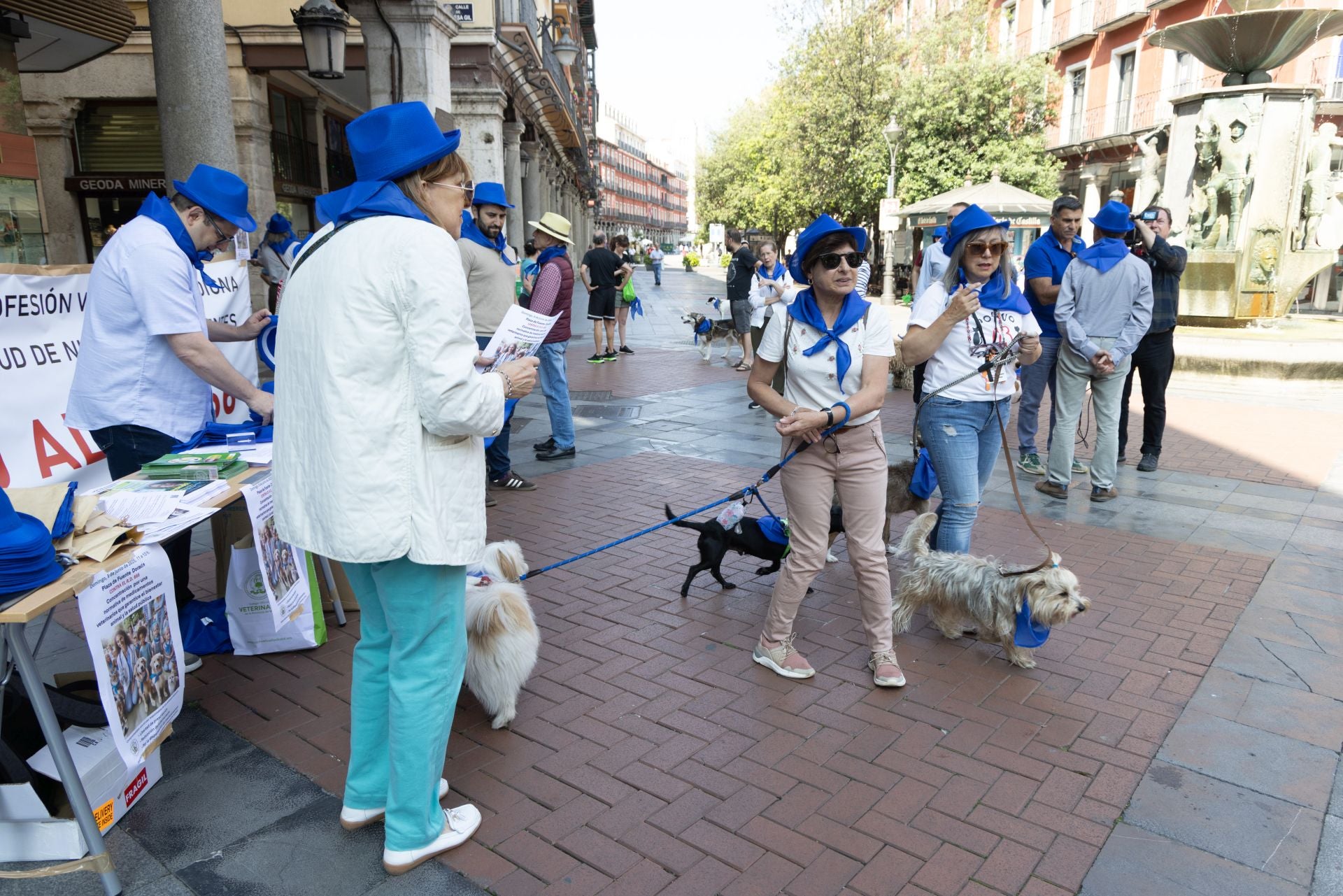 La protesta de los veterinarios, en imágenes